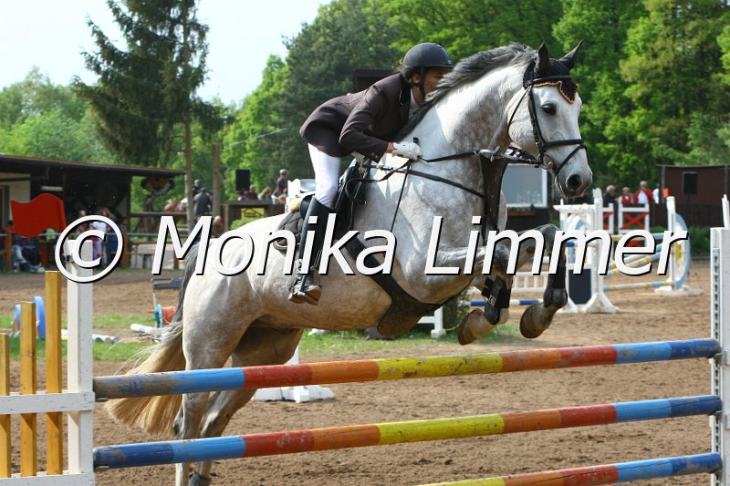 104M4041_Blue Sky_Spring M.JPG